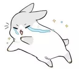揭秘生肖背后的深层含义与象征意义