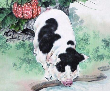 揭秘生肖背后的心事重重深层含义