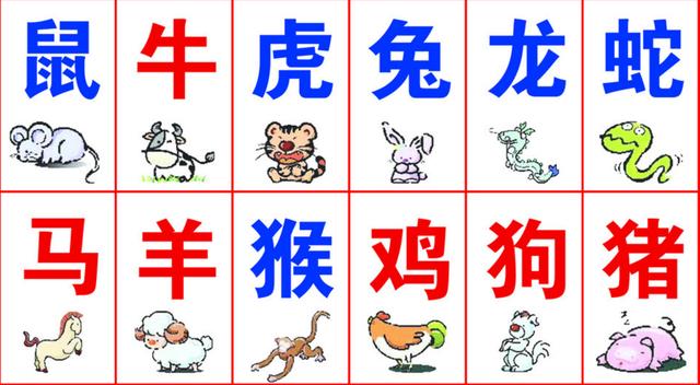 目光如豆探寻生肖奥秘，揭秘生肖鼠的独特魅力