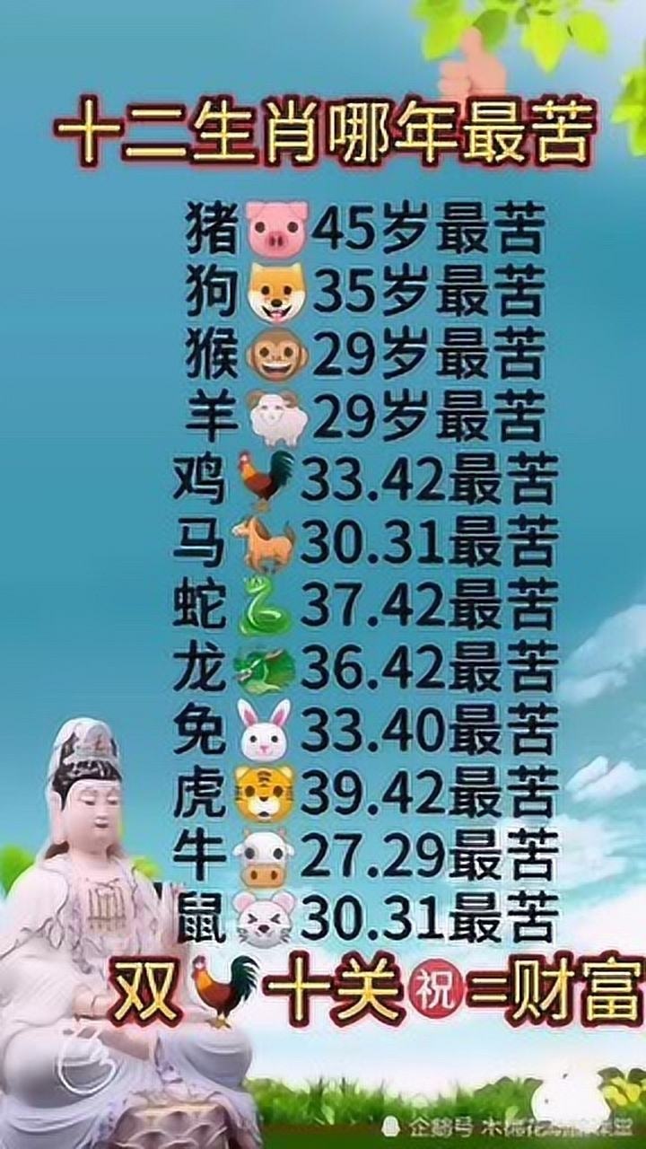 老曾最爱的生肖，揭秘生肖情缘