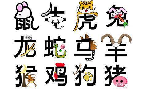 目光如豆探寻生肖之谜