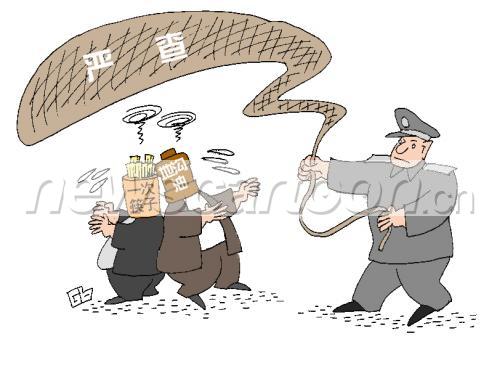 天网恢恢下的生肖之谜探索