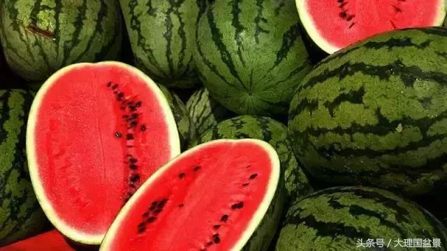 瓜熟蒂落揭秘生肖之谜