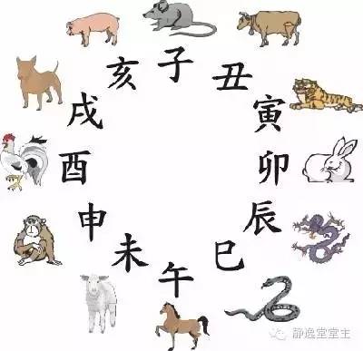 凡俗生肖之谜，探寻生肖文化中的智慧与趣味