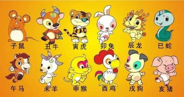 生肖奥秘与手足相连的情感纽带