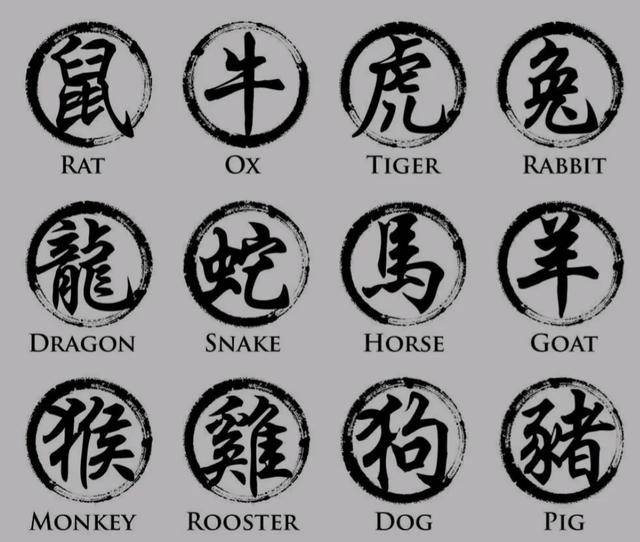 手无寸铁，生肖中的独特象征解读