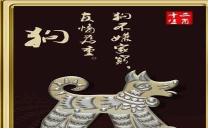 十冬腊月下的生肖探秘