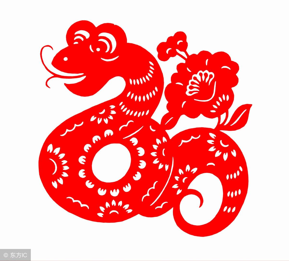 生肖智慧探寻，谜底揭晓与说长道短之旅