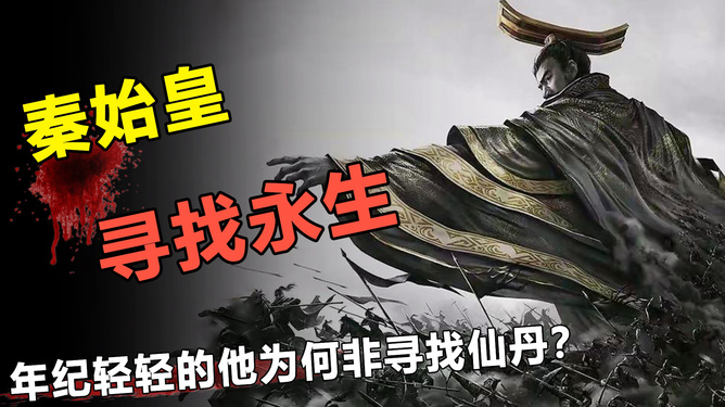 揭秘生肖背后的神秘力量，风雨中的奥秘探寻