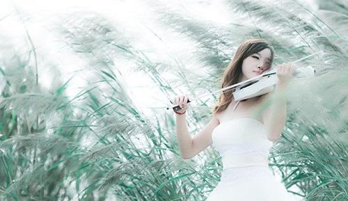 揭秘生肖温情与神秘，暖傍离宁静拂桥之探秘