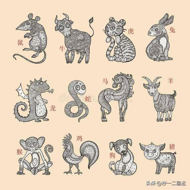 四六三四揭晓时刻，探寻生肖奥秘的期待