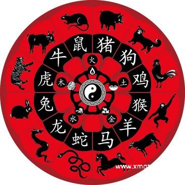 生肖奥秘揭秘，探寻神秘符号背后的惊天故事