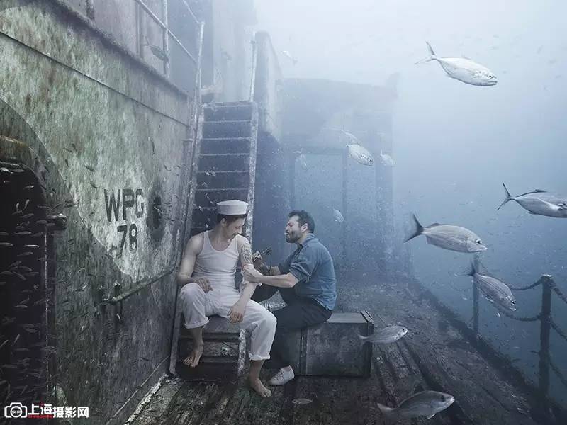 迷雾中的神秘动物，探寻乌烟瘴气中的真相