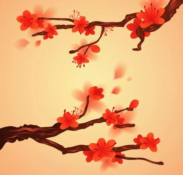 红色梅花三六九与生肖的奥秘探索