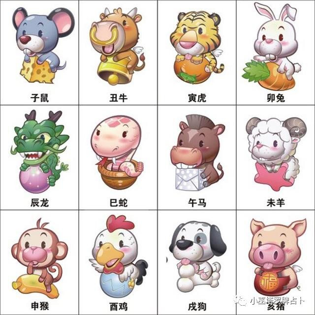 揭秘生肖之谜，探寻生肖背后的肥瘦之谜