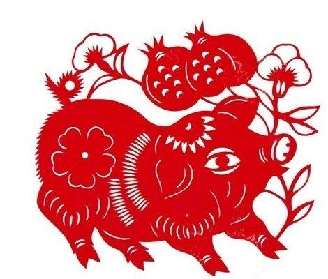 揭秘生肖传奇，鹏程万里之准确生肖探秘