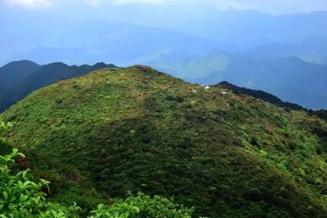 揭秘生肖神秘面纱，天外有天，山外有山