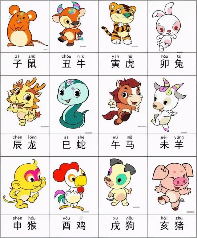 生肖与健康之谜，身体健康与生肖的关联探索