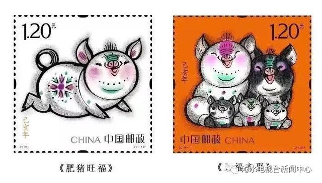 江枫月斜下的神秘生肖探秘，生肖之谜探寻