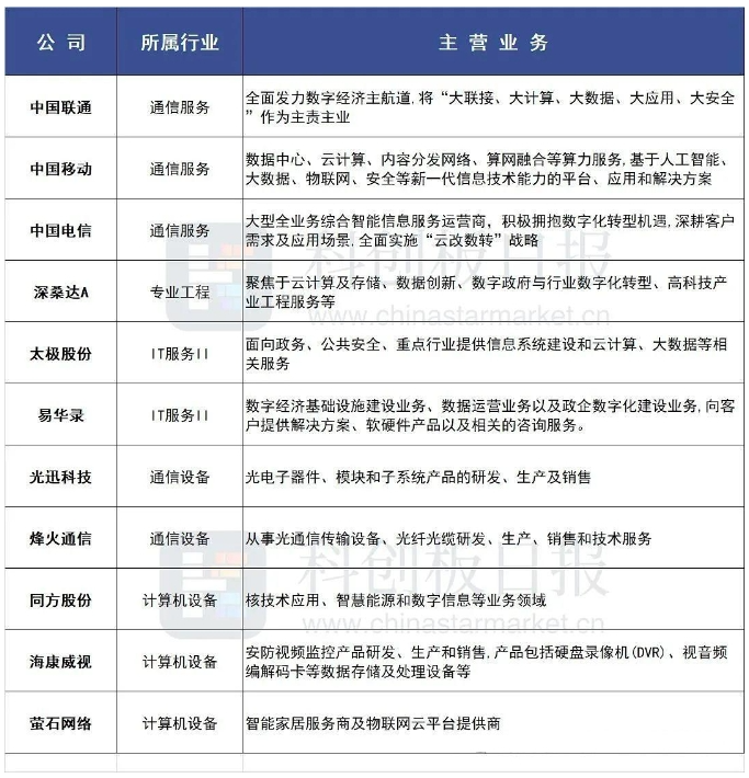 知情不报者的生肖属性探究，背后隐藏的秘密与影响
