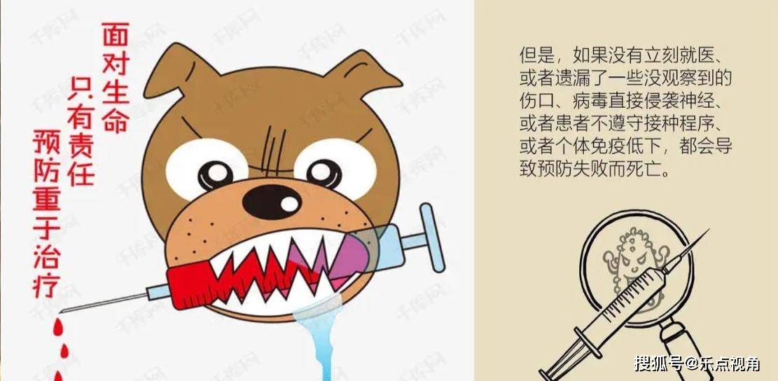 咬字眼儿的生肖揭秘