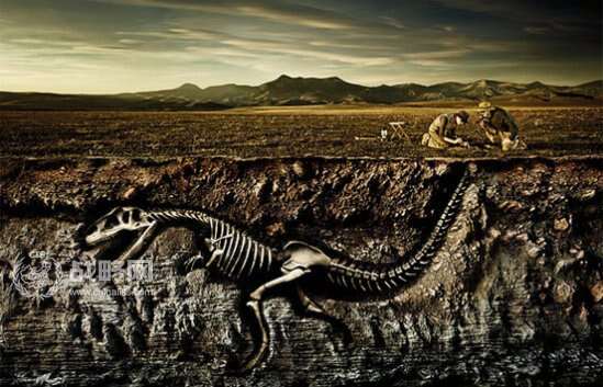 神秘生物生死存亡，探寻亡在旦夕的珍稀动物之谜