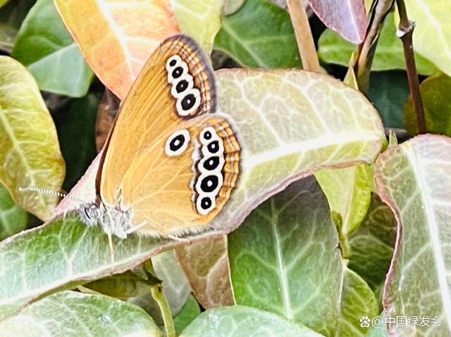 国内 第690页