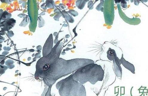 揭秘生肖奥秘，遇水叠桥探秘传奇