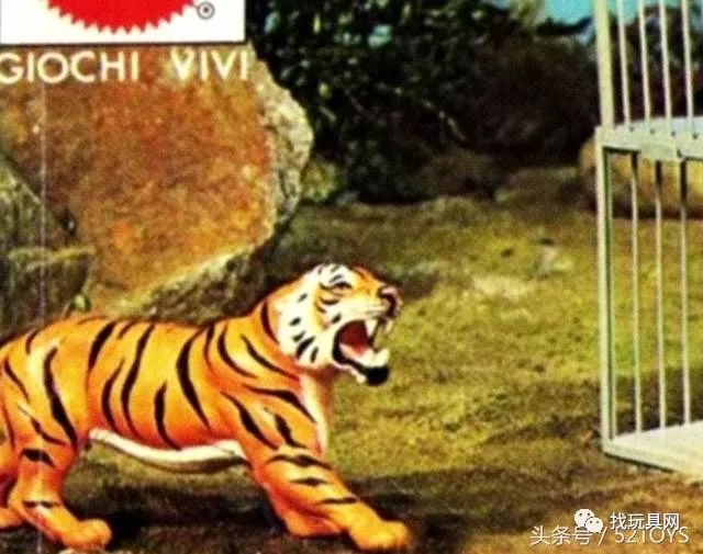 桑榆暮景中的生肖奥秘探索