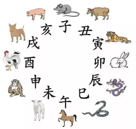 五花八门背后的生肖奥秘，探寻生肖世界的奇妙之旅