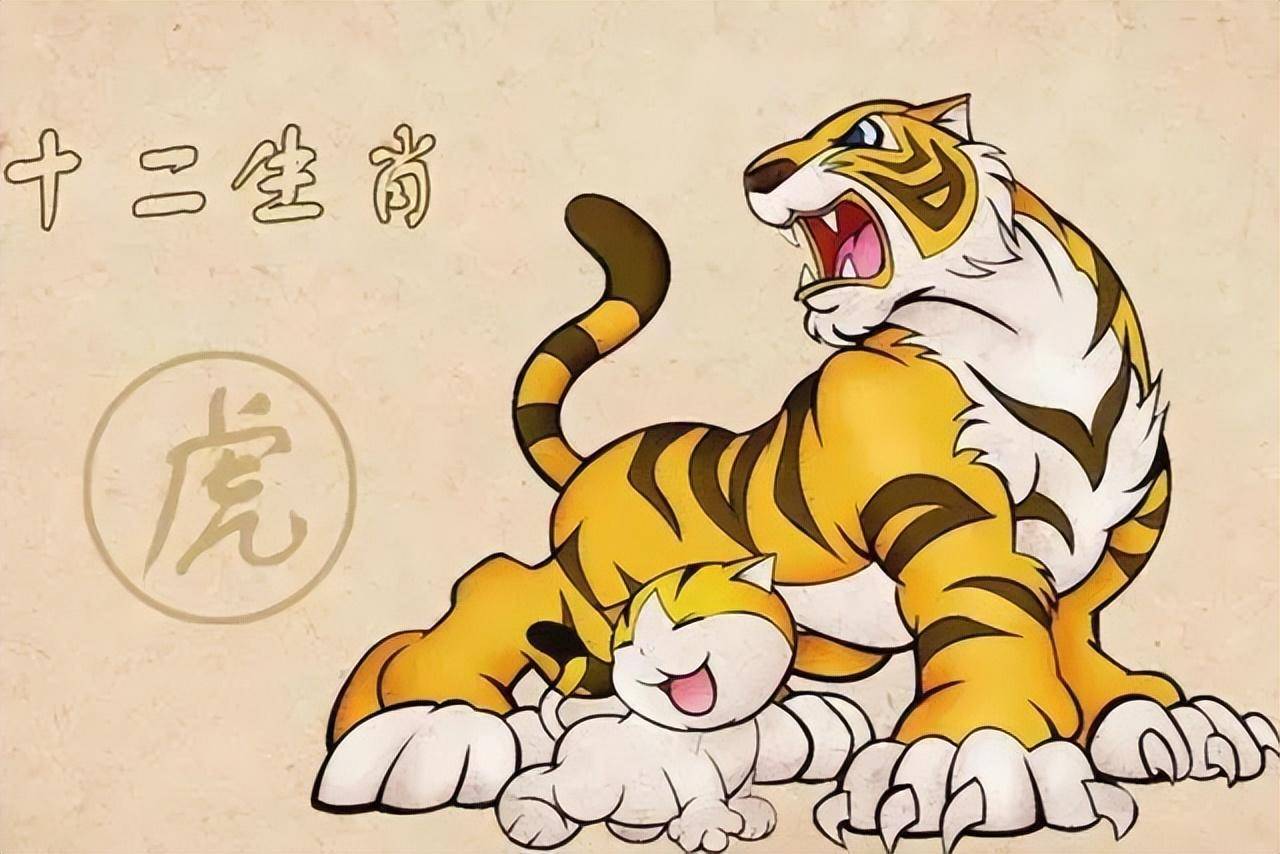 探寻生肖文化的独特魅力，生肖大小对比解析