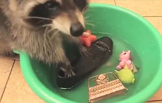 猴，行侠仗义映生肖的光辉形象