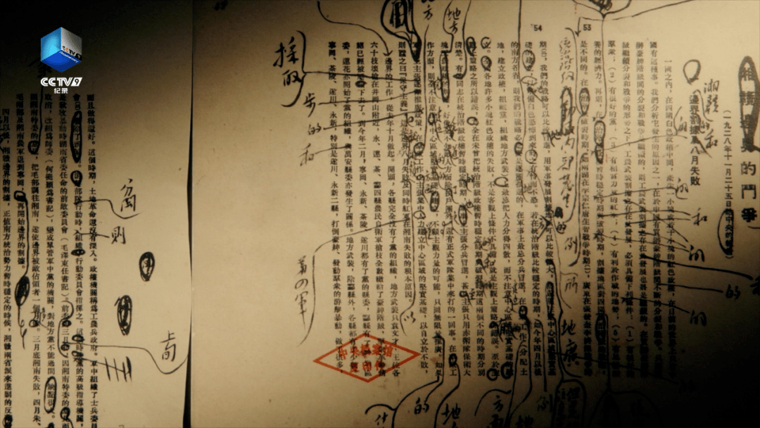 红学专家揭秘生肖之谜，探寻背后的故事与传说