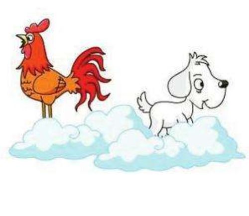 鸡犬相闻背后的生肖传奇