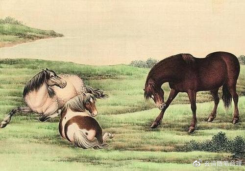 揭秘生肖之谜，非驴非马背后的探寻故事