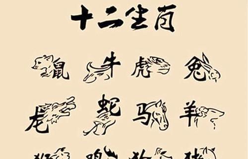 生肖奥秘，天无宁日的探索