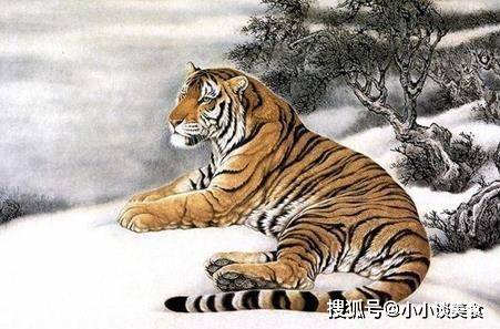 解密生肖之谜，肥冬瘦年的奥秘探究