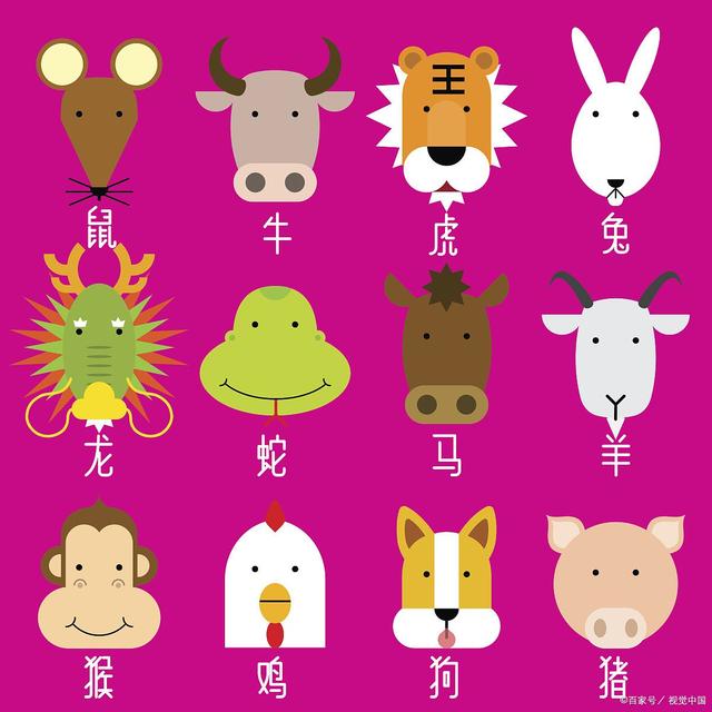 生肖传奇，四面受敌的挑战与传奇