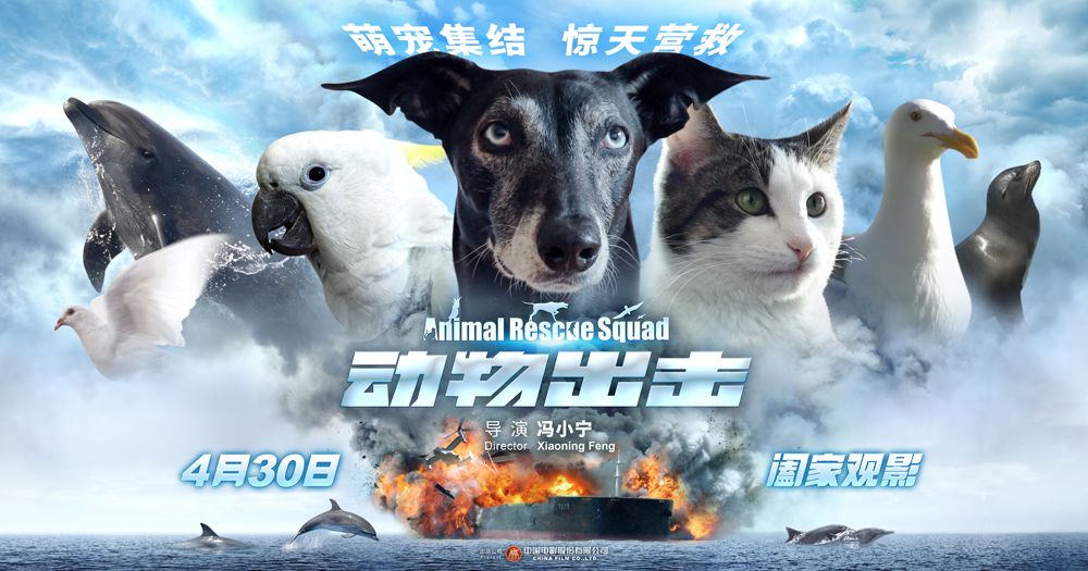 揭秘引狼入室与生肖动物背后的故事关联