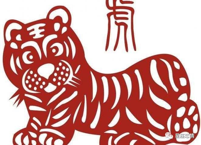 生肖智慧探寻，高瞻远瞩的象征与智慧之光