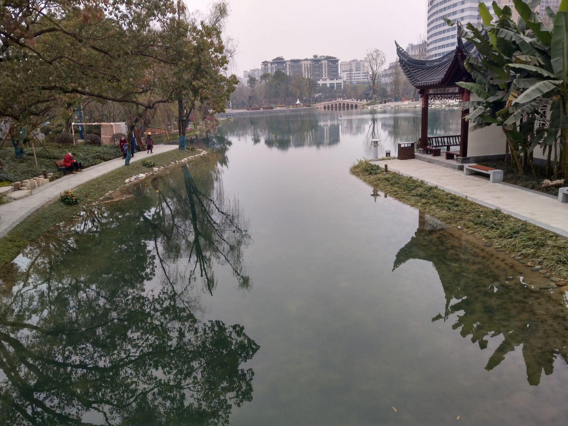 碧波荡漾中的生肖魅力，探寻生肖之水的神秘灵动