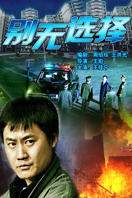 生肖之神秘解读，别无选择的选择之路