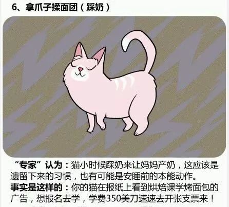 孤苦伶仃背后的生肖之谜，探寻生肖深层含义