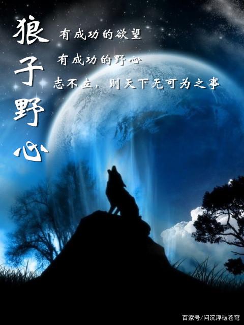 狼子野心与生肖之谜，探寻背后的神秘力量