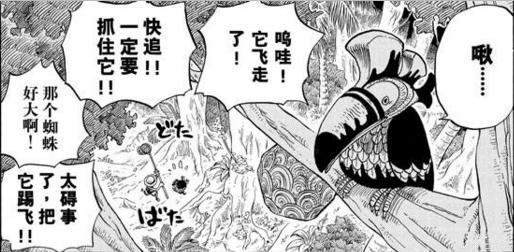 揭秘生肖智慧之星，小鬼大解密！