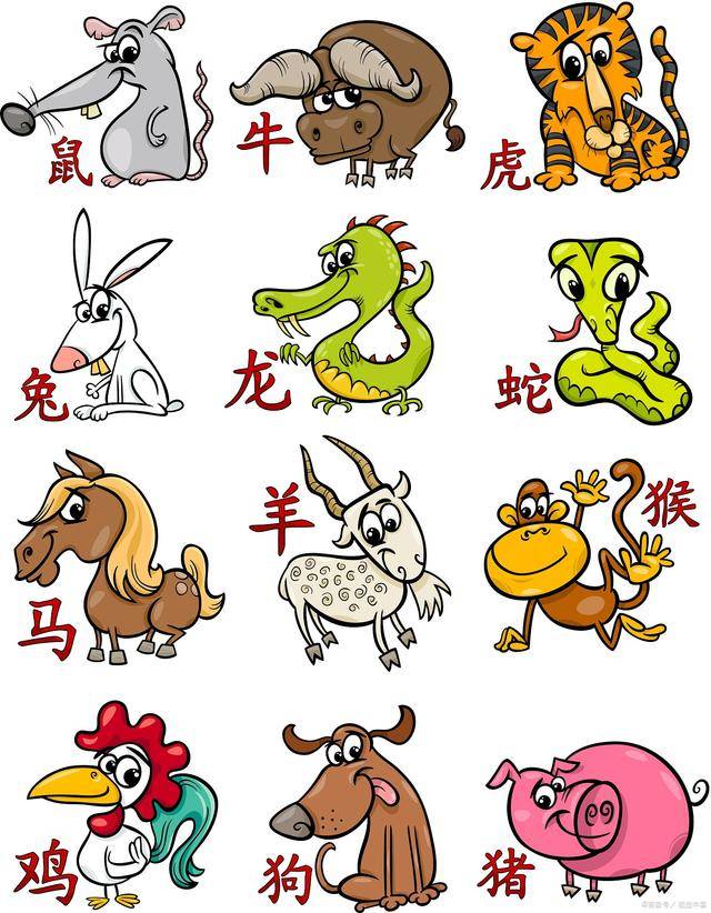 短斤缺两与生肖争议探讨