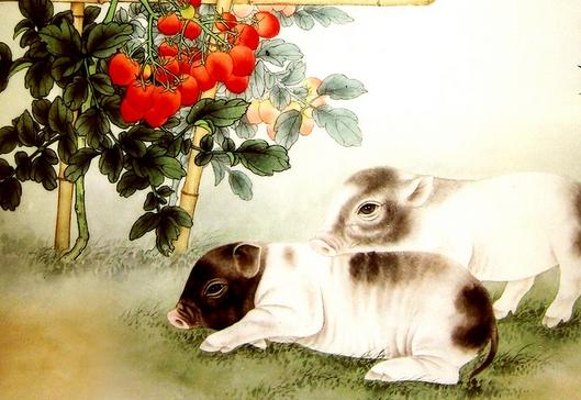 智探生肖奥秘，瞻前顾后解谜团