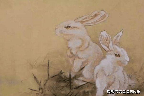揭秘生肖运势之玉兔出宫带宝运势预测