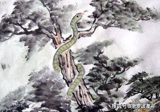 揭秘生肖之谜，高山流水间的生肖奥秘揭晓