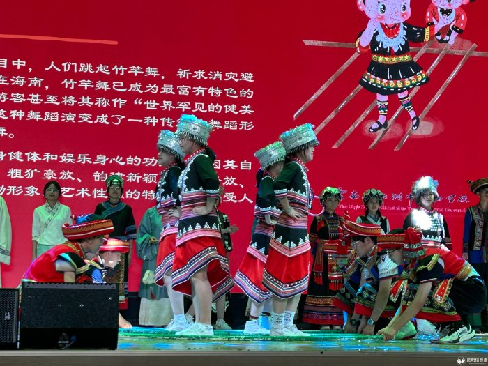 风华正茂，探寻生肖青春风采的魅力